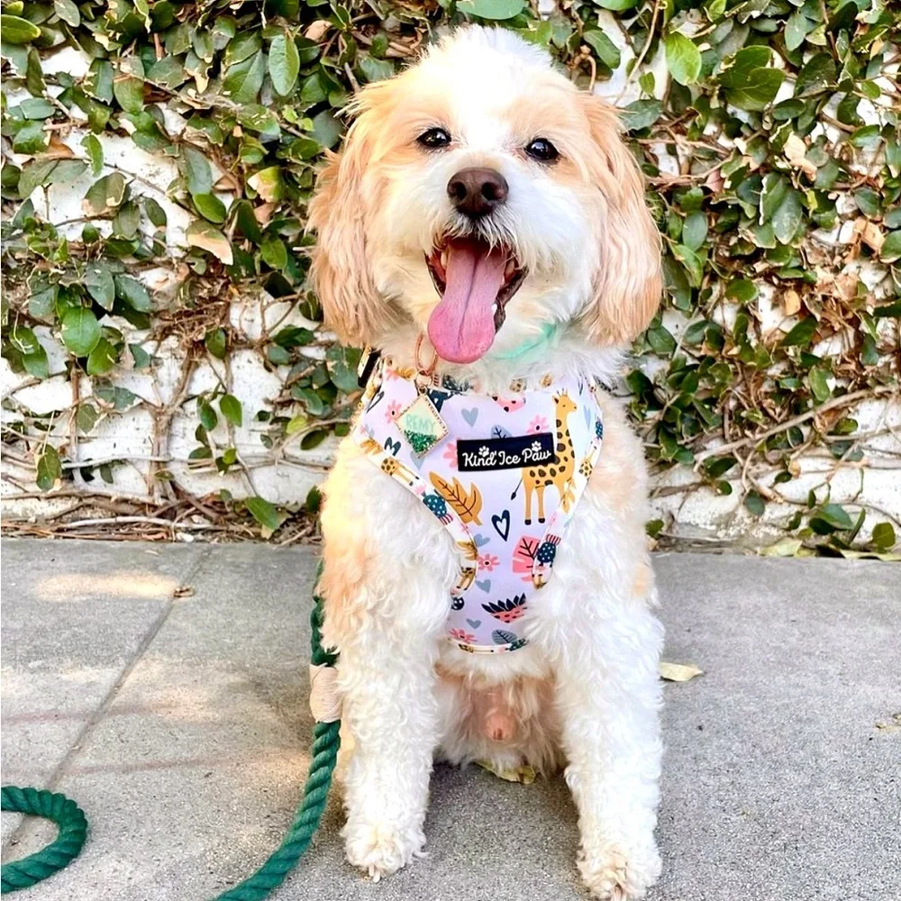 Brand New - Jungle Safari Pup Dog Harness - Picture 6 of 10